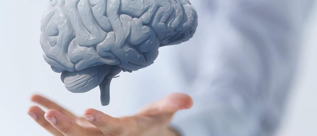 تعرف على الطريقة الصحيحة لتنظيف الدماغ والحماية من الإصابة بالخرف